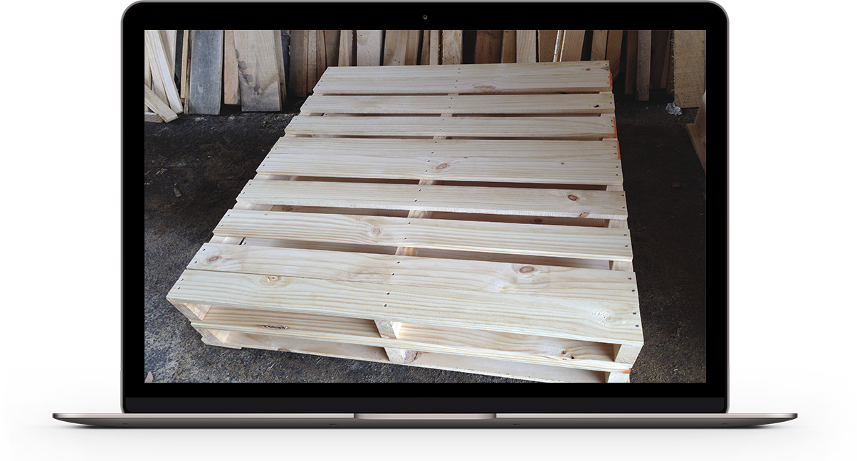 Tarimas de Madera